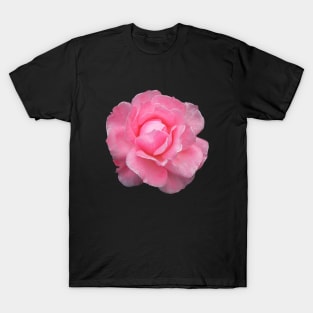 Raindrops Dew on Pink Rose Flower T-Shirt